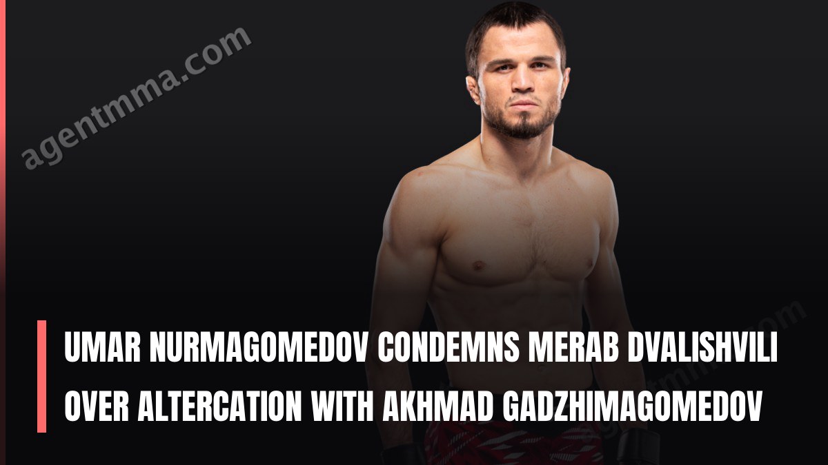 Umar Nurmagomedov condena Merab Dvalishvili por altercação com Akhmad Gadzhimagomedov