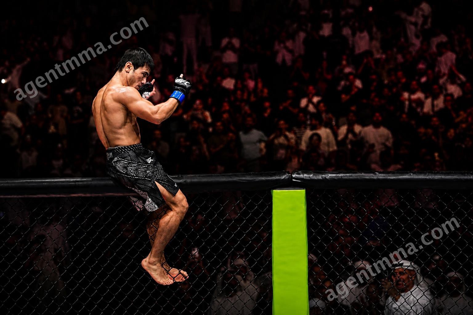 Ramazan Temirov KOs Steve Erceg in Round 1 at UFC Abu Dhabi