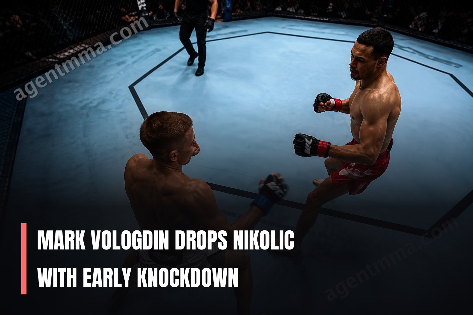 Mark Vologdin Drops Nikolic with Early Knockdown