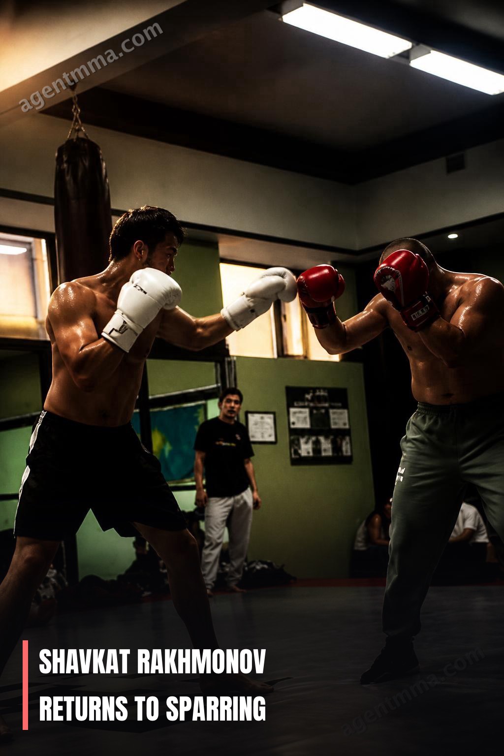 Shavkat Rakhmonov Returns to Sparring