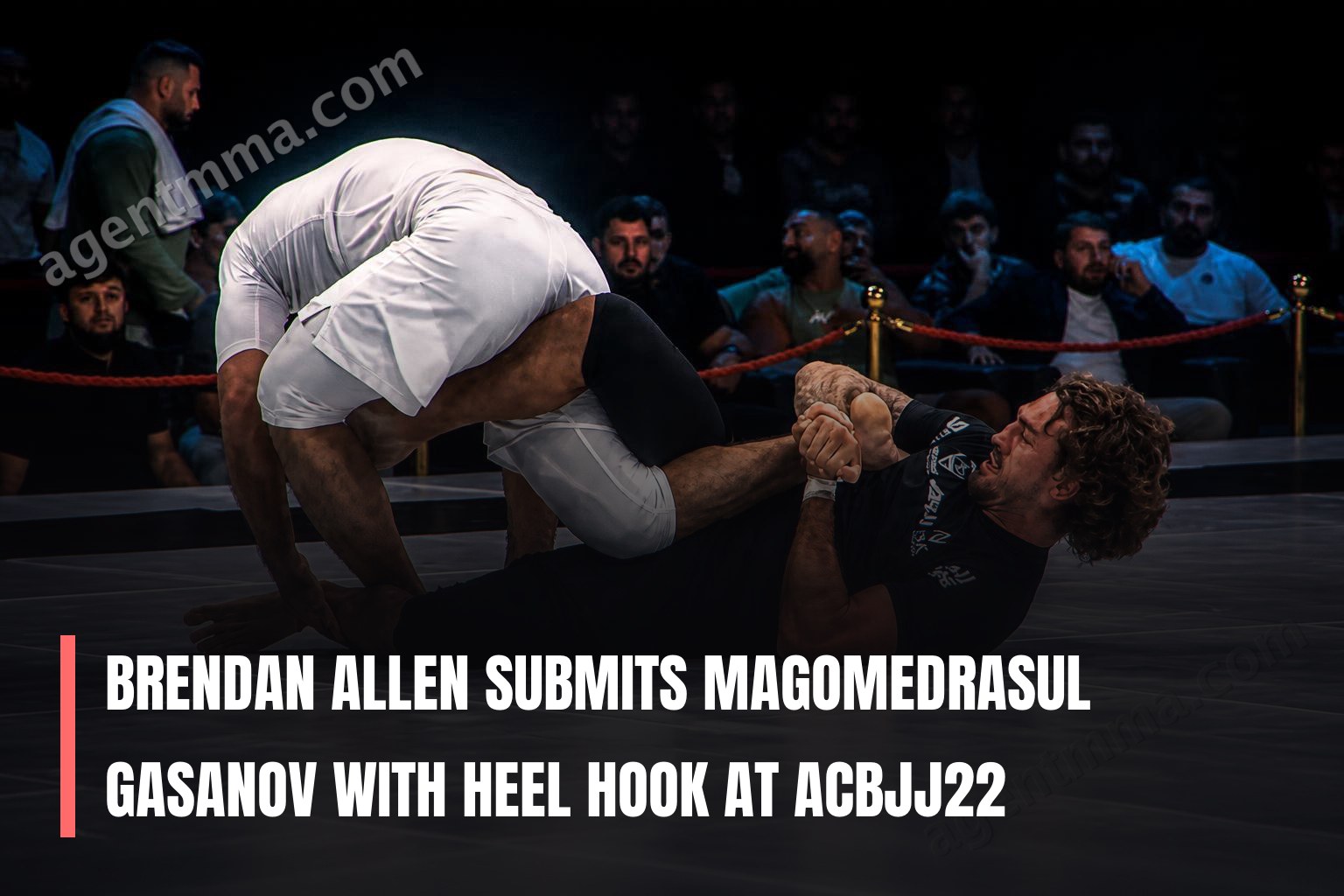 Brendan Allen soumet Magomedrasul Gasanov avec un heel hook à ACBJJ22
