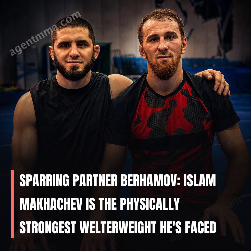 Sparring Partner Berhamov: Islam Makhachev Is the Physically Strongest Welterweight He's Faced