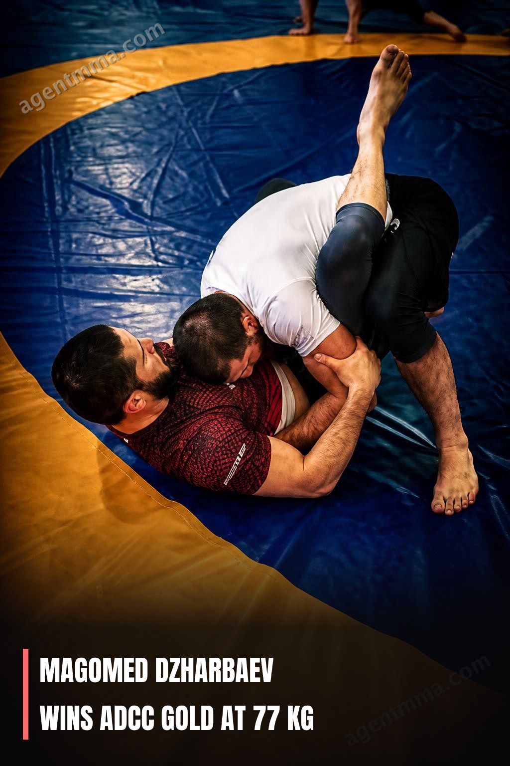 Magomed Dzharbaev gana oro en ADCC en 77 kg