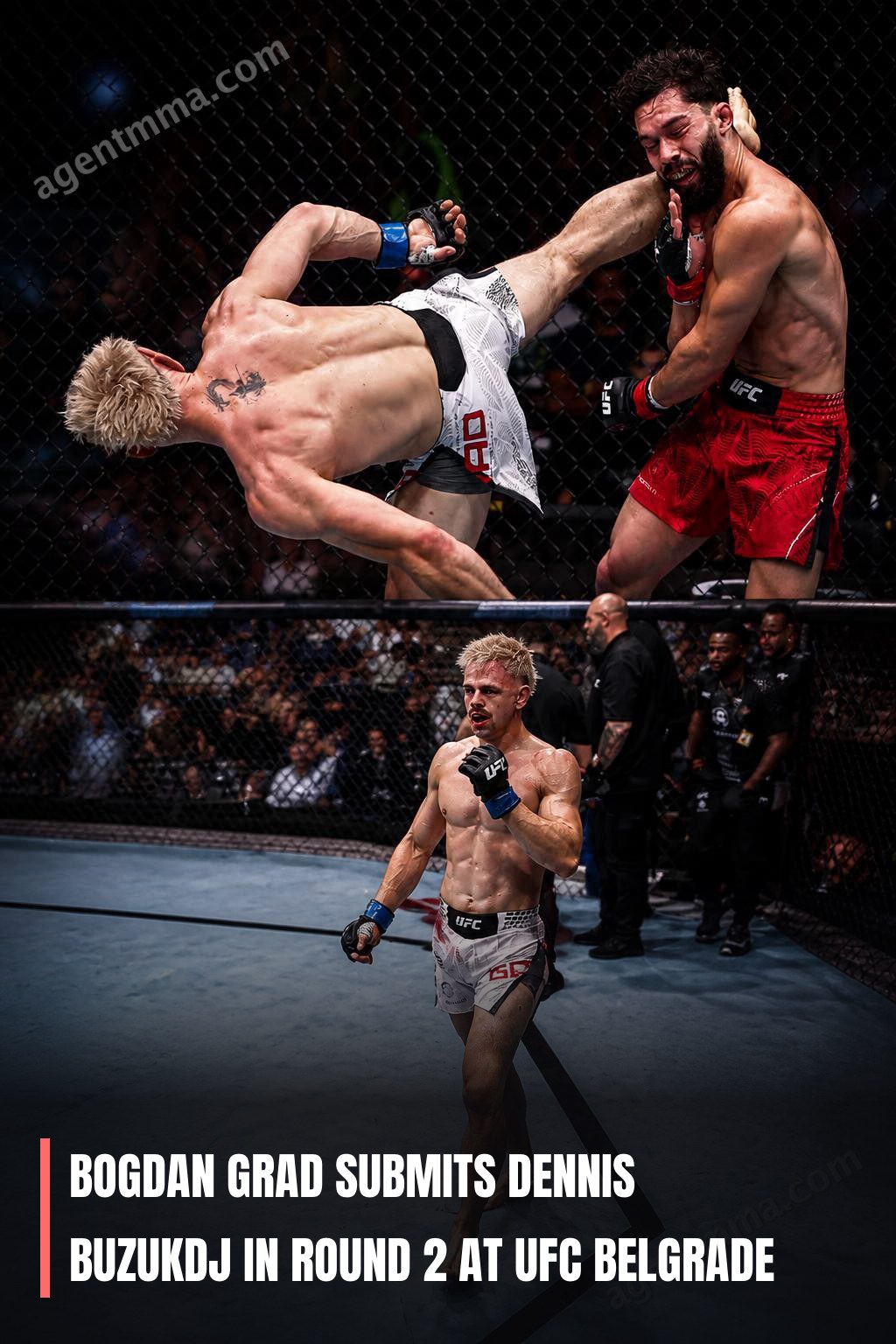 Bogdan Grad Submits Dennis Buzukdj in Round 2 at UFC Belgrade