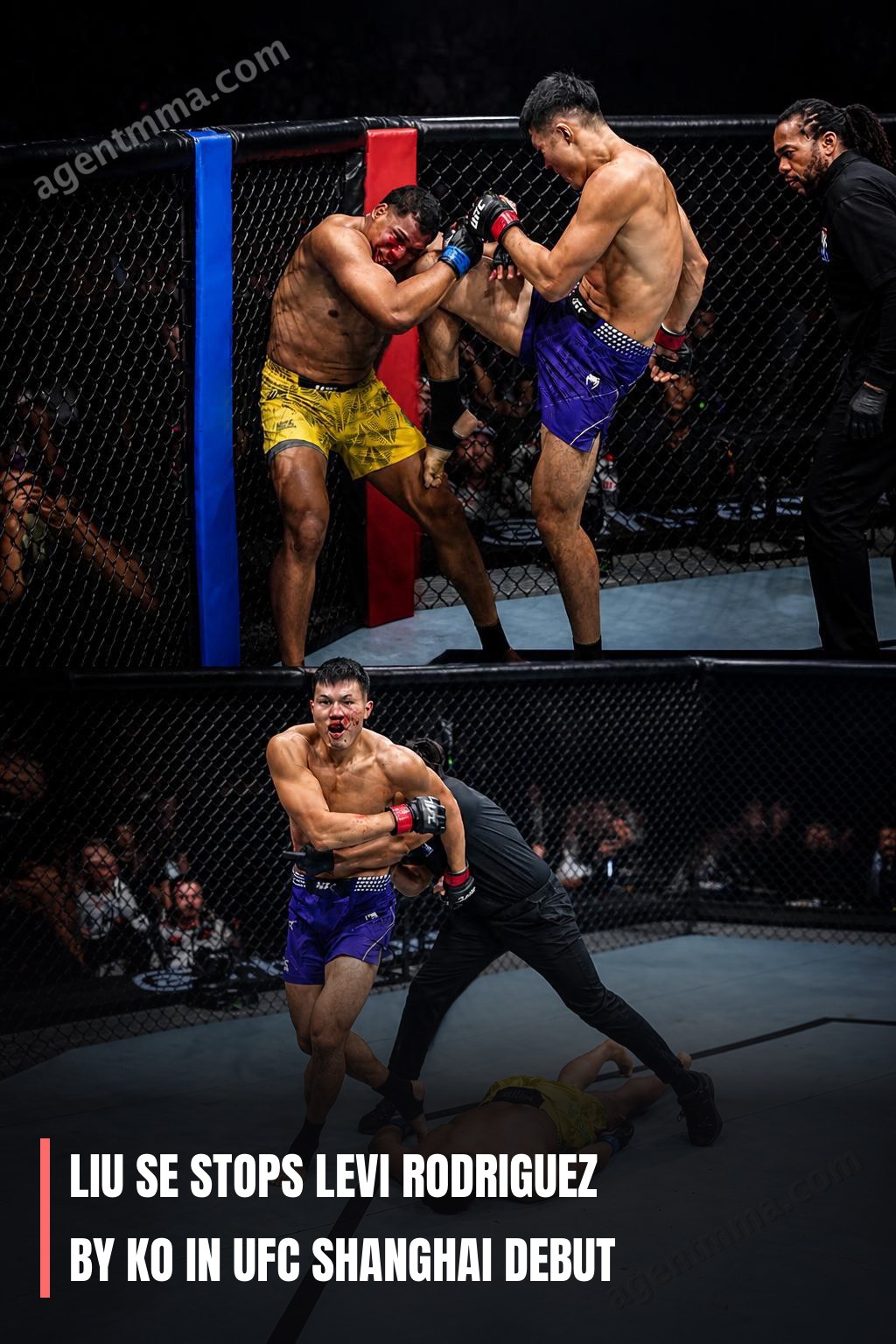 Liu Se Detiene a Levi Rodriguez por KO en su Debut en UFC Shanghai