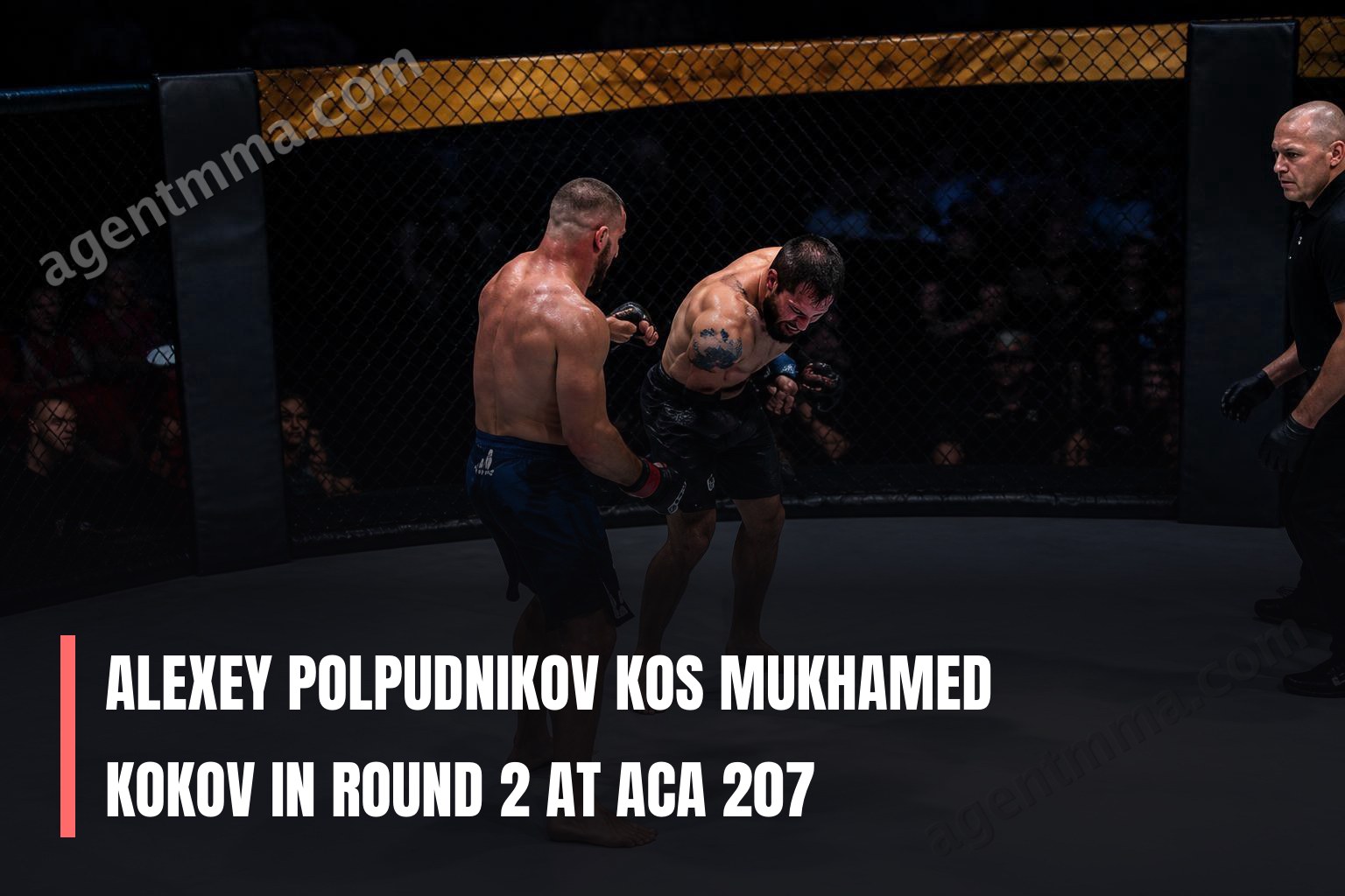 Alexey Polpudnikov KOs Mukhamed Kokov in Round 2 at ACA 207