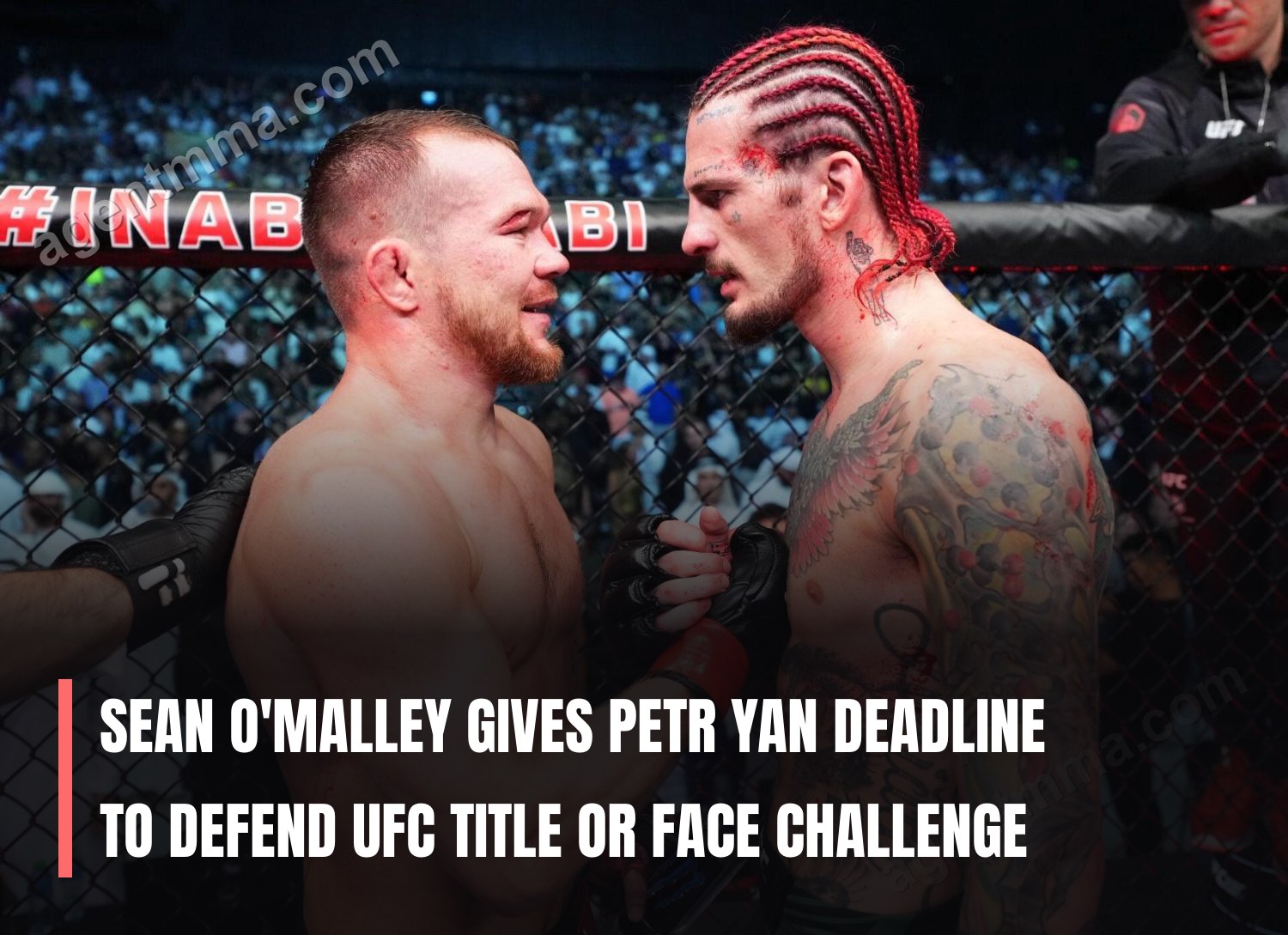 Шон О'Мэлли дал Петру Яну дедлайн на защиту титула UFC или столкнется с вызовом