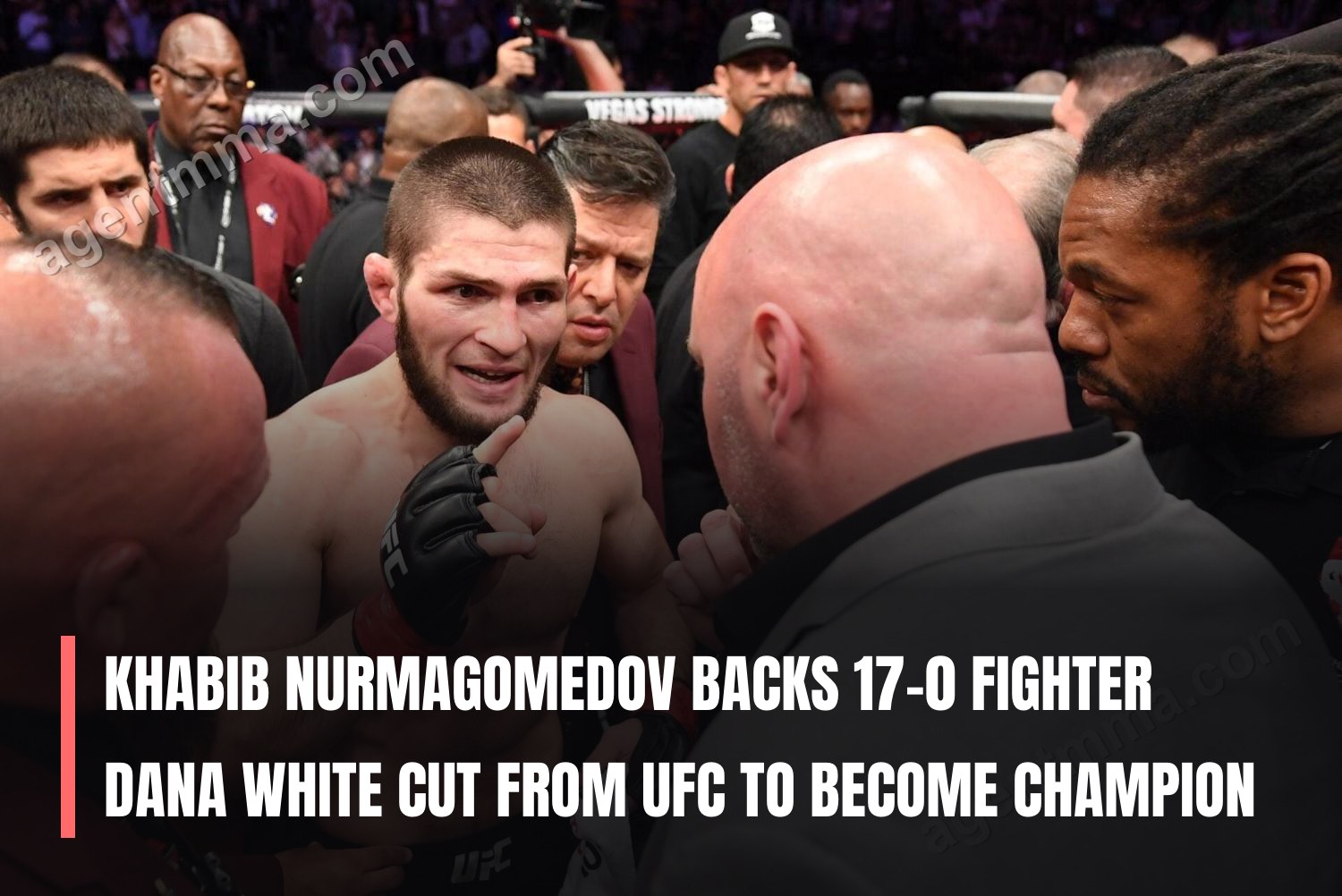 Khabib Nurmagomedov backs 17-0 fighter Dana White cut from UFC to become champion