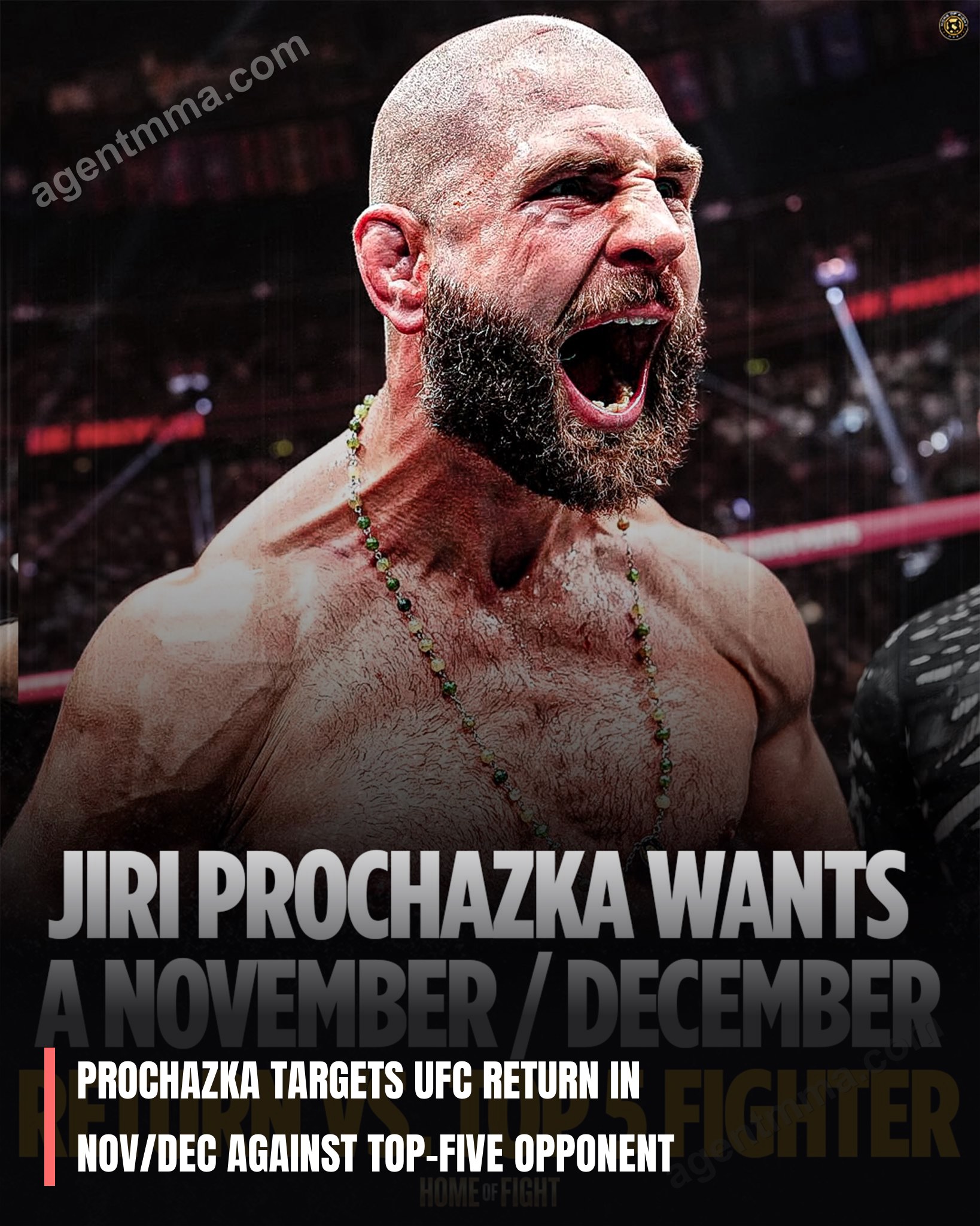 Prochazka targets UFC return in Nov/Dec against top-five opponent