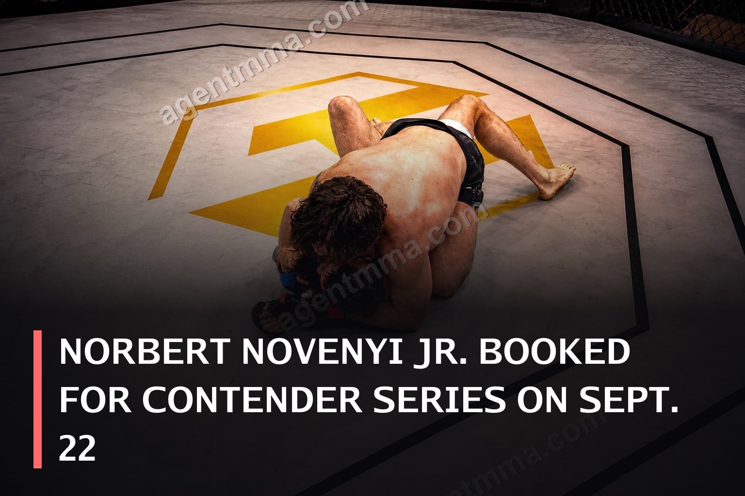 Norbert Novenyi Jr. Confirmado para la Contender Series el 22 de Septiembre