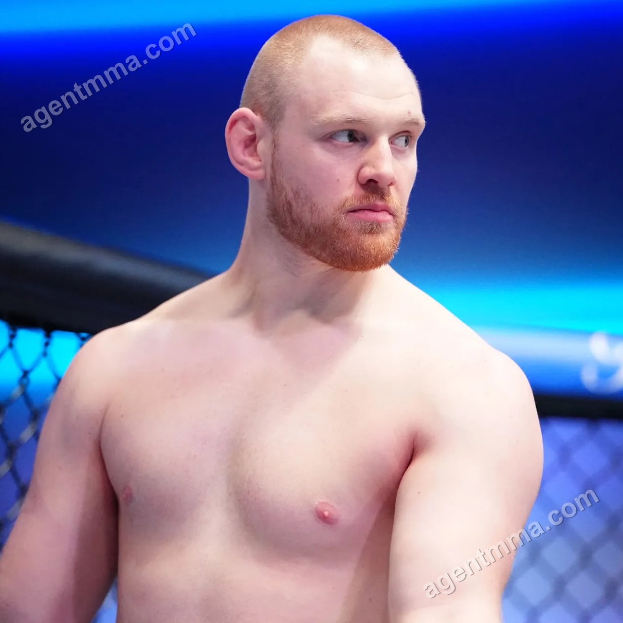 Alik Lorenz vs. Diyar Nurgozhay programado para UFC Qatar