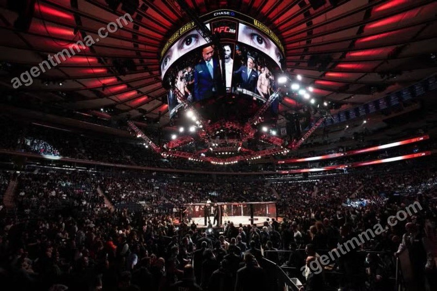 UFC Returns to Madison Square Garden for Numbered Event on Nov. 14