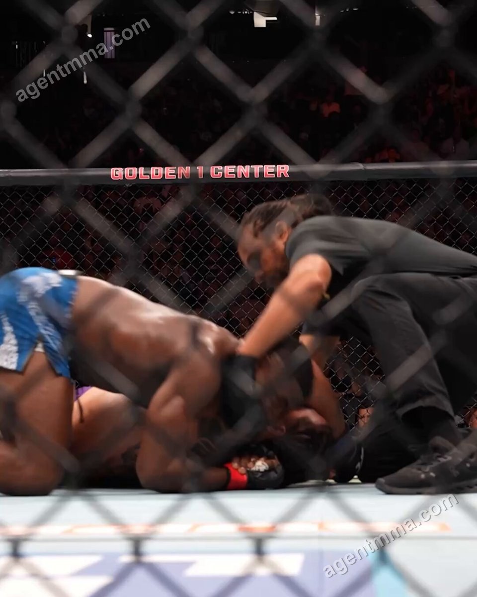 Anthony Wint Submits Opponent in Perfect UFC Heavyweight Debut at Sacramento