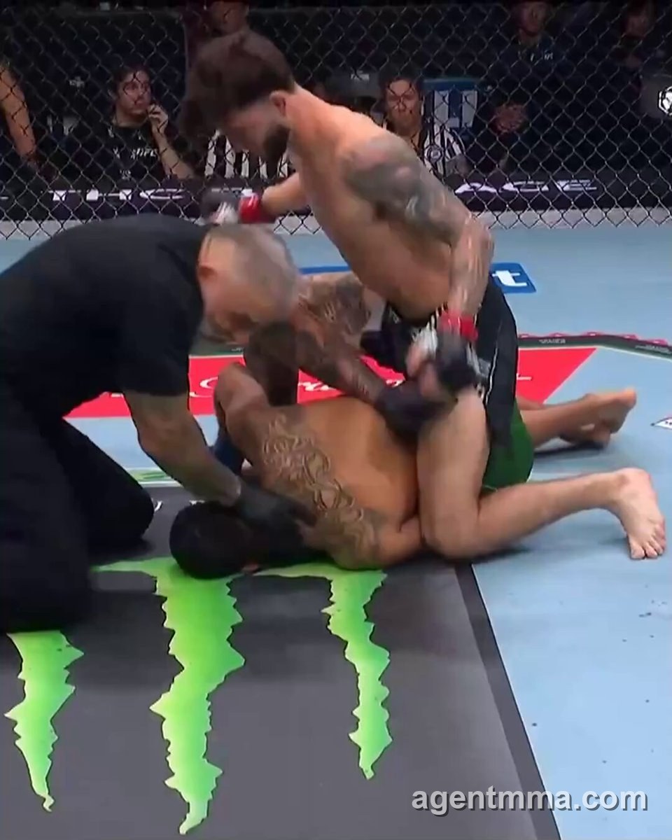 Sean King Scores Slam KO at Noche UFC