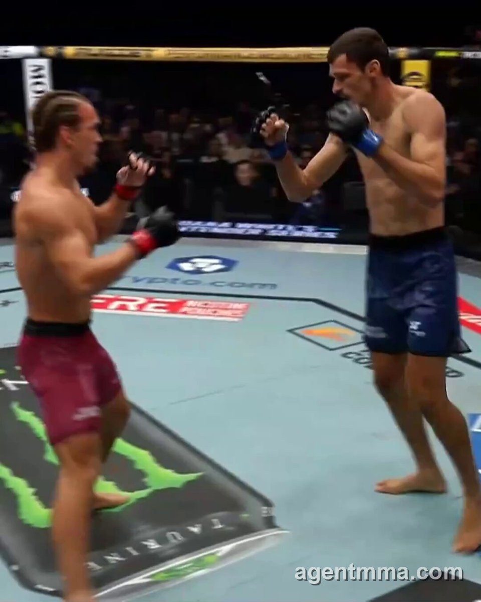 Luis Francischinelli finishes opponent with Round 1 TKO at Dana White's Contender Series